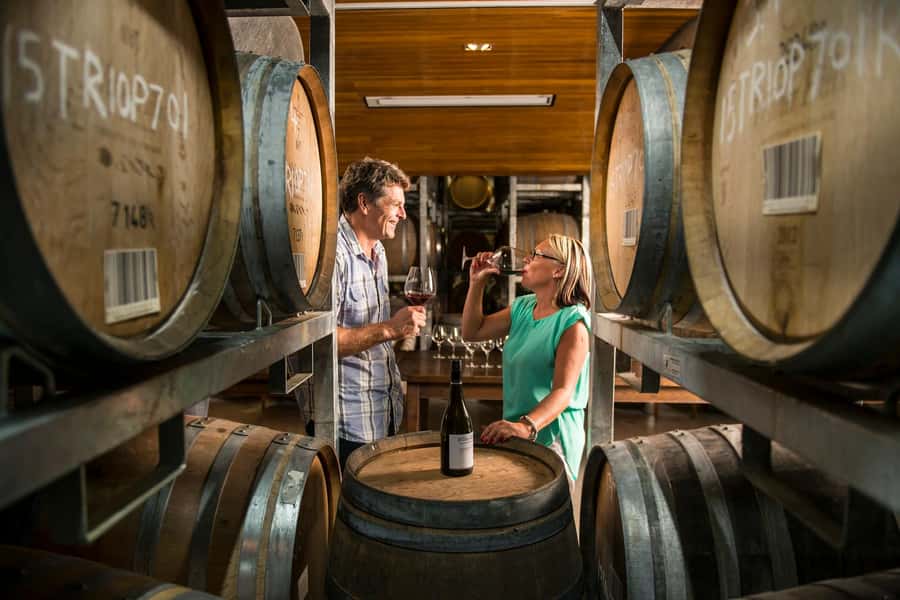 Marlborough: Full-Day Wine and Seafood Tour with Cruise - Is $191 a fair price?
