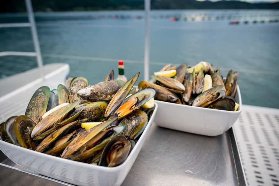 Marlborough: Full-Day Wine and Seafood Tour with Cruise - The morning starts with two very different winery visits