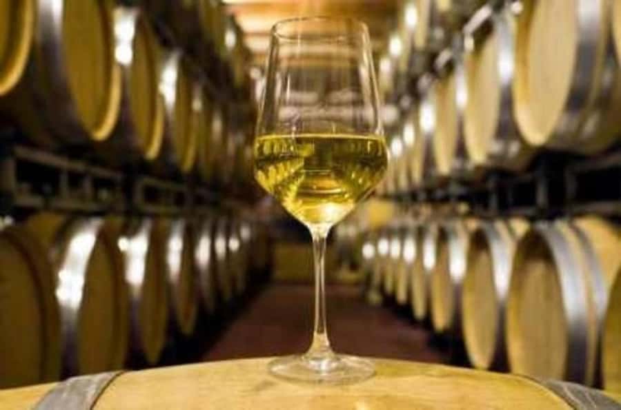 Marlborough Full Day Wine Tour - The final cellar doors and possible chocolate stop