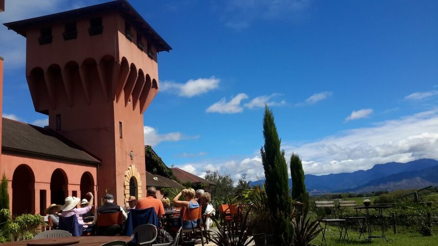 Marlborough Full Day Wine Tour - Should you book the Marlborough Full Day Wine Tour?
