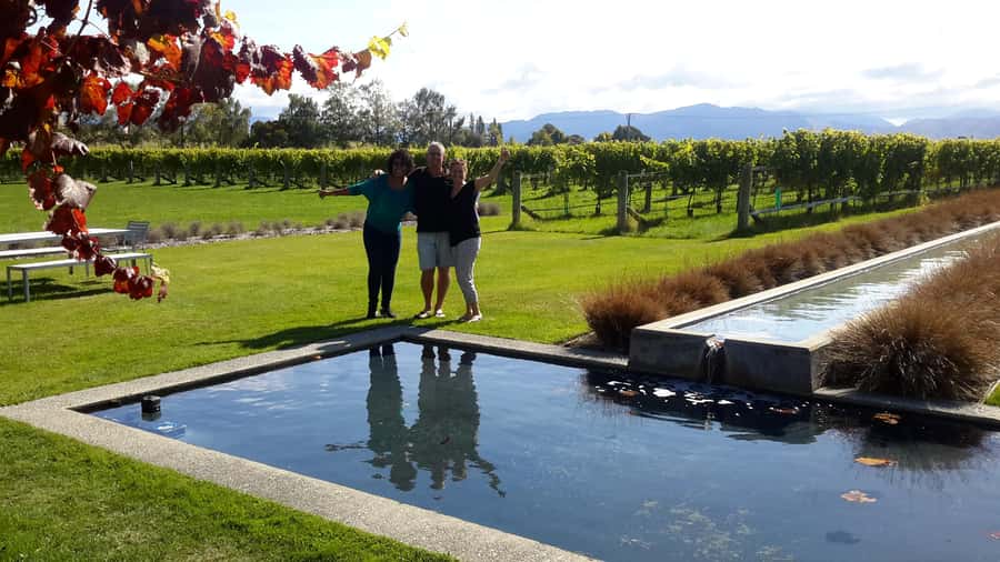 Marlborough Half-Day Wine Tour from Blenheim - The vineyard walk explains more than the tasting glass