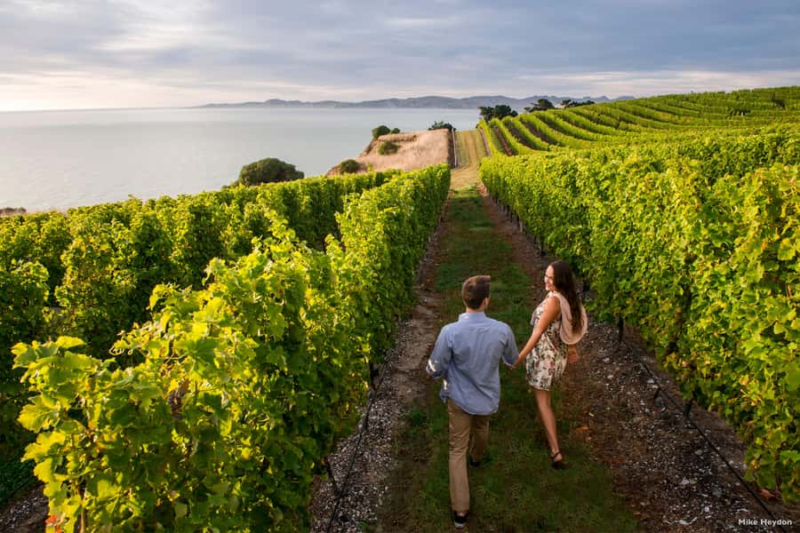 Marlborough Half-Day Wine Tour from Blenheim - Who will enjoy this tour most?