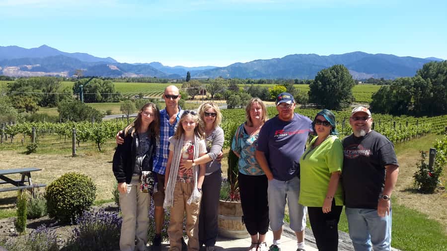 Marlborough Half-Day Wine Tour from Blenheim - The minibus ride through Marlborough’s vineyards