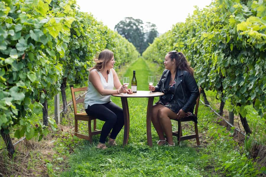 Marlborough Half Day Wine Tour From Picton 1pm - Sauvignon Blanc is the local starting point