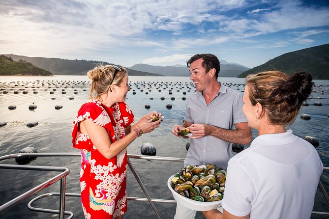 Marlborough Icons Tour - Wine tasting + Cruise - Who should book this experience