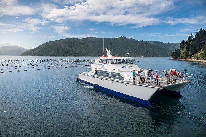 Marlborough Icons Tour - Wine tasting + Cruise - Weather, pickup, and practical planning