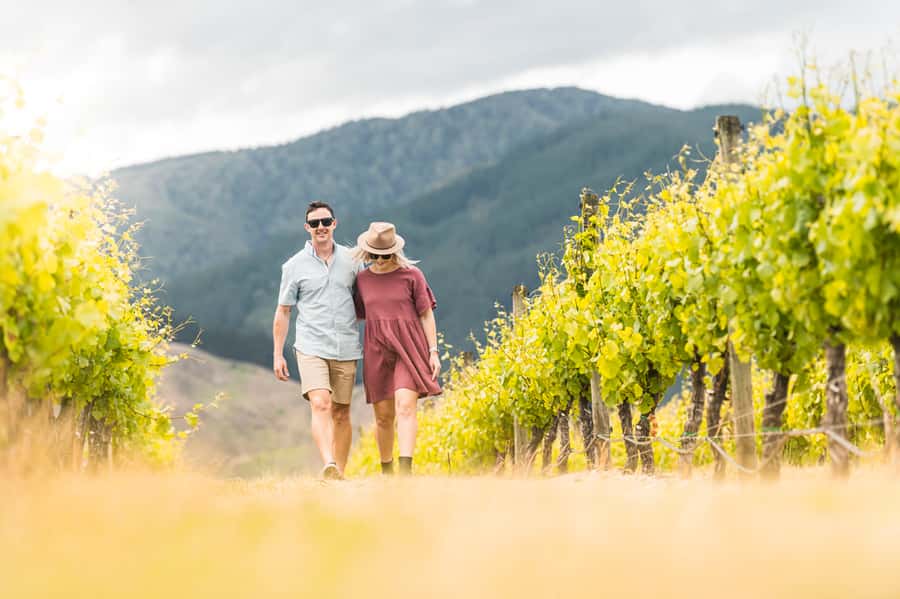 Marlborough: Wineries Visit and Tasting Session - The first winery sets the pace