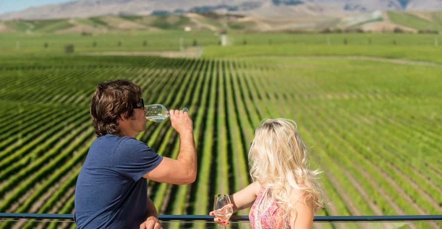 Marlborough: Wineries Visit and Tasting Session - Cancellation and booking flexibility