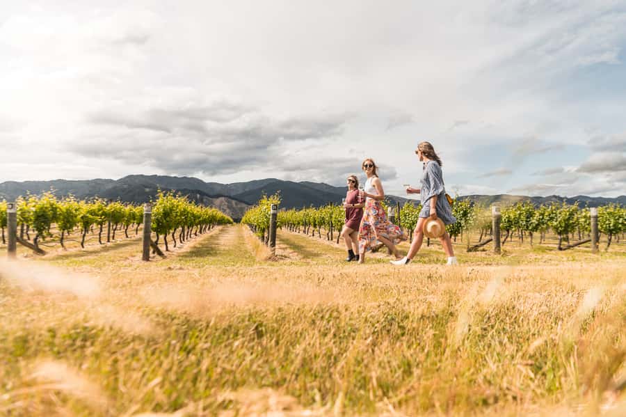 Marlborough: Wineries Visit and Tasting Session - Riding from Blenheim into the wine country