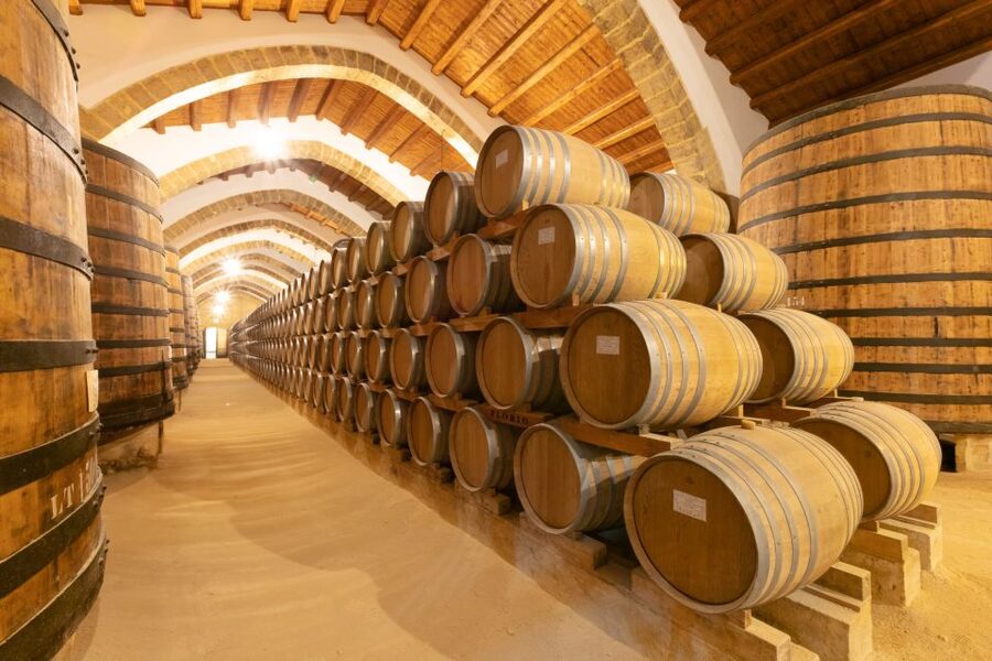 Marsala: Florio Winery Tour with Food-Paired Wine Tastings - Entering the Florio cellars overlooking the water
