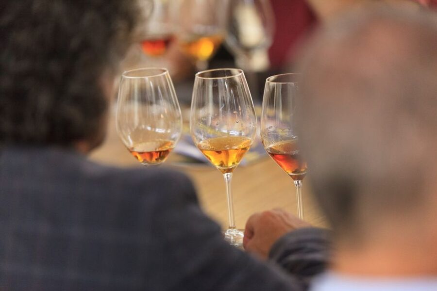 Marsala: Florio Winery Tour with Local Wine Tasting - Who will enjoy this Marsala winery tour