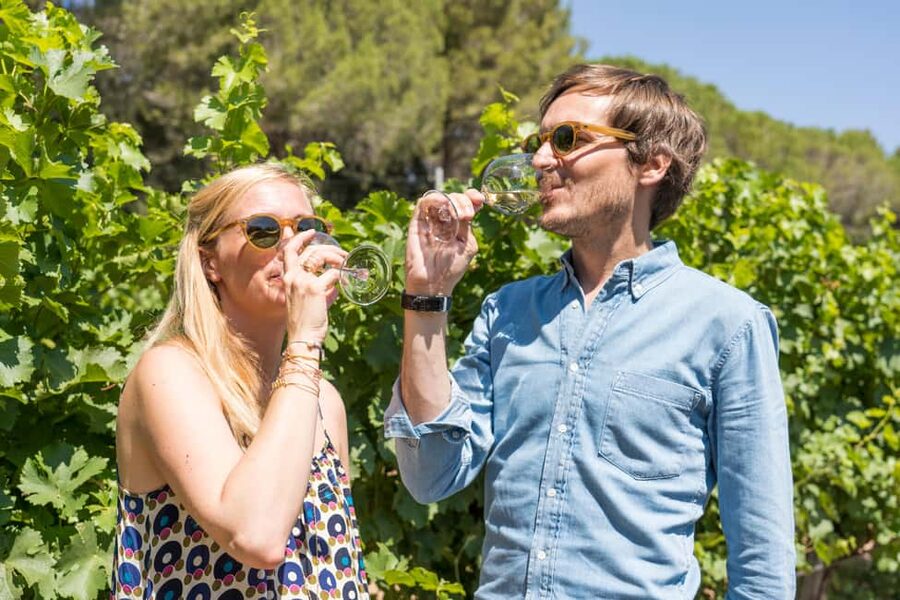 Marseille: Highlights & Wine Tasting Day Tour - Starting at Hôtel de Ville and Entering Le Panier