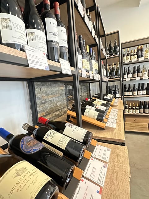 Marseille: Tailored Wine Tasting Experience in Top Wine Shop - Key points to know before booking