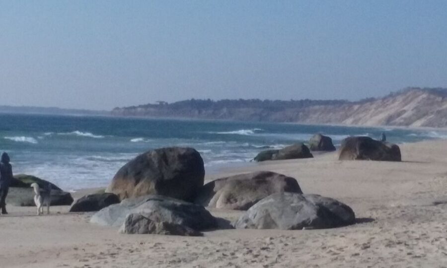 Martha's Vineyard: All Island Tour - Aquinnah Cliffs and the western end of the island