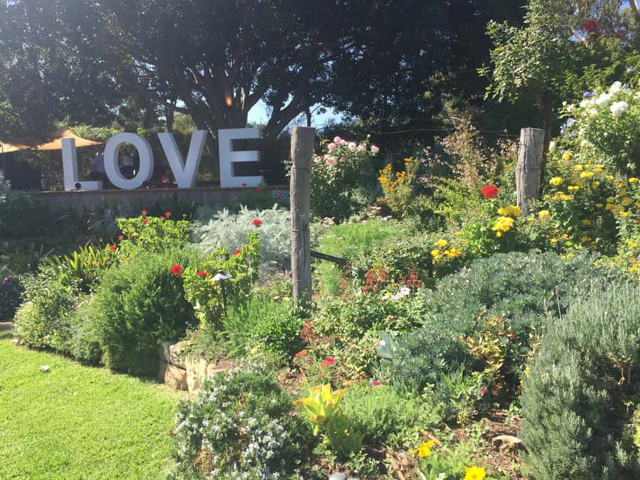 McLaren Vale: Small Group Wine Tour (Includes Lunch) - The gin or brewery finish