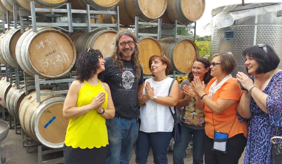 McLaren Vale: Small Group Wine Tour (Includes Lunch) - What the Mercedes-Benz transfer adds