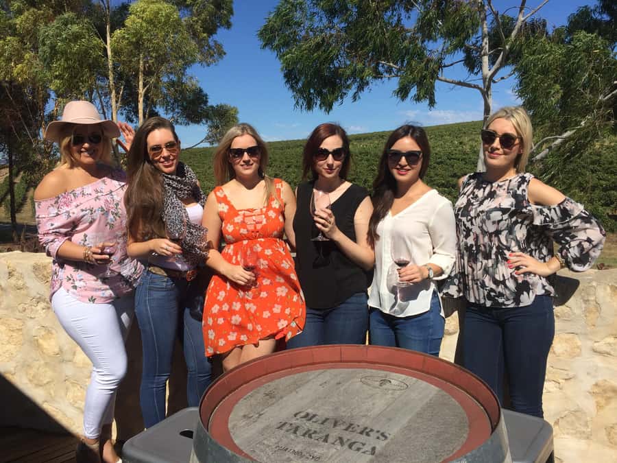 McLaren Vale: Small Group Wine Tour (Includes Lunch) - The price and what you should budget for