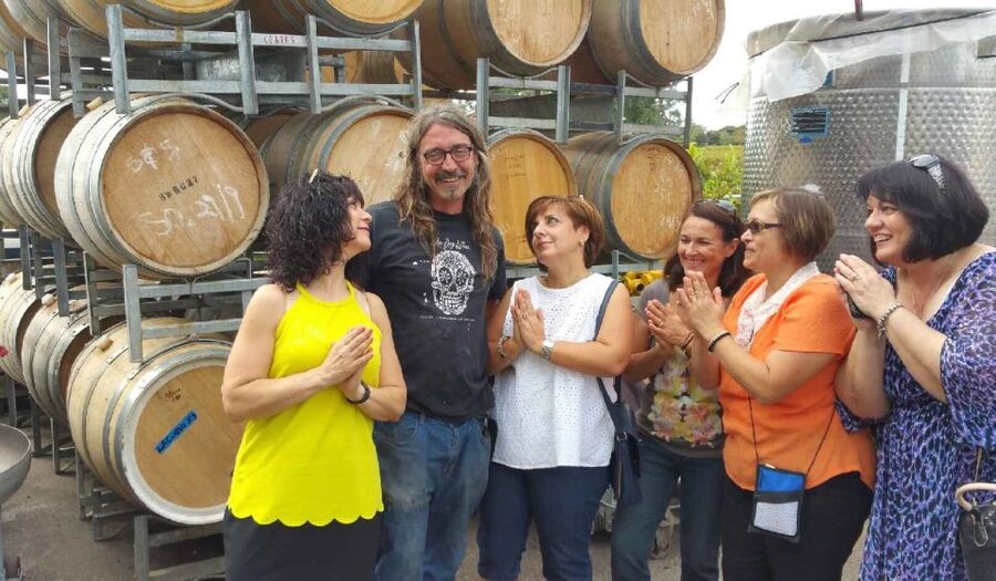 McLaren Vale: Small Group Wine Tour (Includes Lunch) - My verdict on this McLaren Vale wine tour