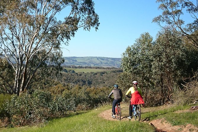 McLaren Vale Wine Tour by Bike - Two wineries, local wine, and a less polished feel