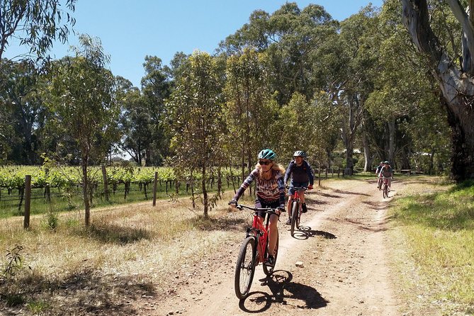 McLaren Vale Wine Tour by Bike - What the guides add to the day