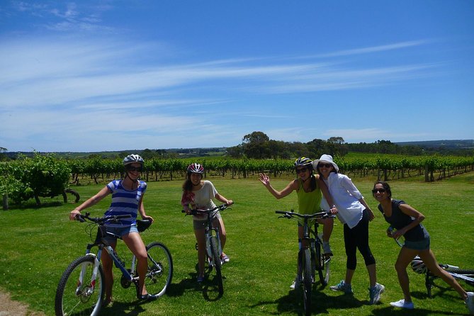 McLaren Vale Wine Tour by Bike - Price, timing, and what you receive for $142.73
