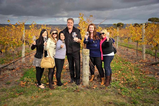 McLaren Vale Winery Small Group Tour with Wine Tasting and Lunch - Haselgrove brings a boutique contrast