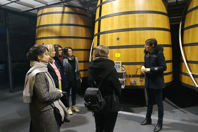 Medoc Region Wine Day Trip with Vineyard Visits & Tastings from Bordeaux - Three Médoc châteaux in one long day