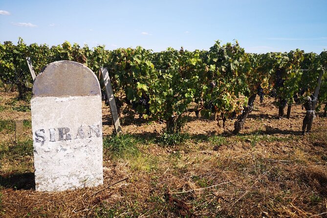 Medoc Region Wine Day Trip with Vineyard Visits & Tastings from Bordeaux - The final château and the value of comparison