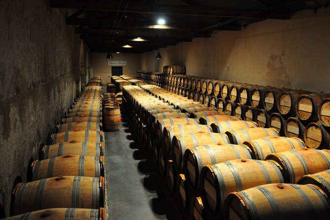 Medoc Region Wine Day Trip with Vineyard Visits & Tastings from Bordeaux - Is $266.16 a fair price?