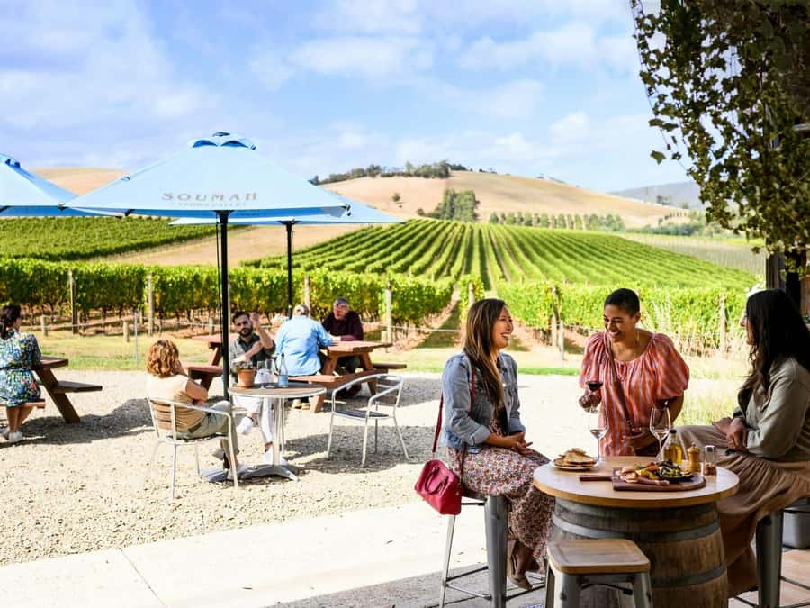 Melbourne: Yarra Valley Half-Day Wine Tour - Starting at the Arts Centre with coffee