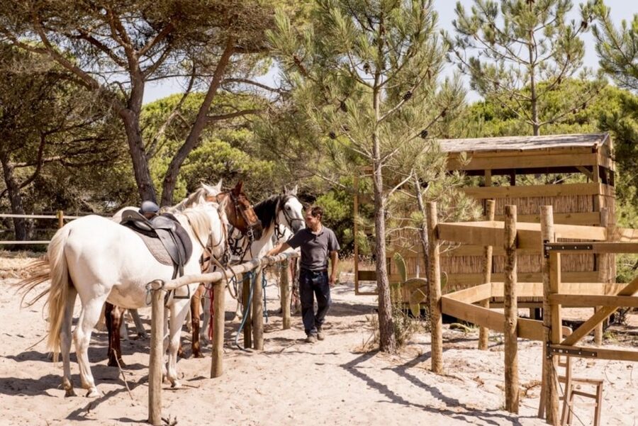 Melides: Horse Riding on the Beach with Wine Tasting - From pine forest to the Melides shore