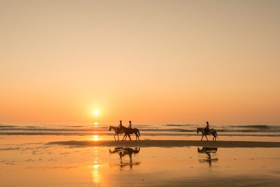 Melides: Horse Riding on the Beach with Wine Tasting - The Melides lagoon and coastal birdlife
