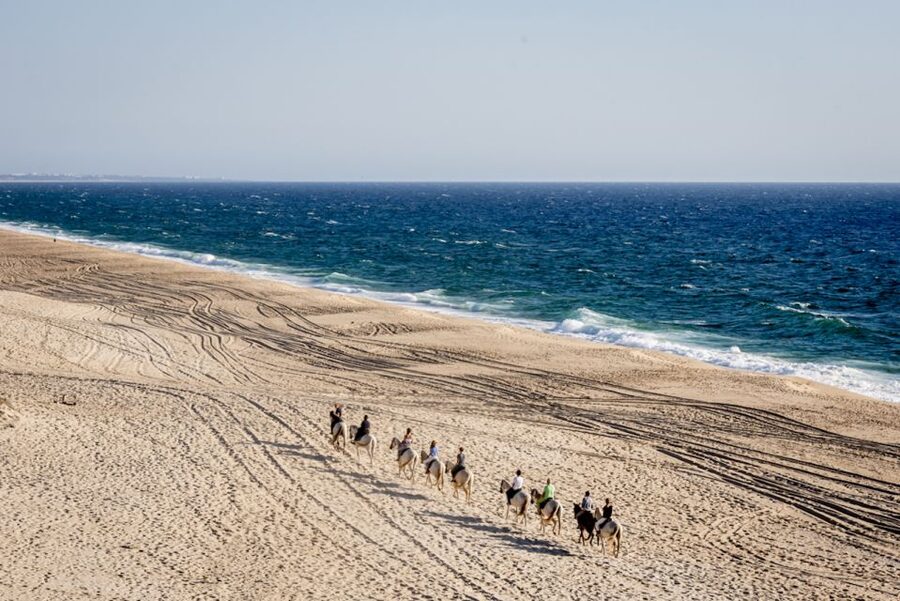 Melides: Horse Riding on the Beach with Wine Tasting - Who should book this ride