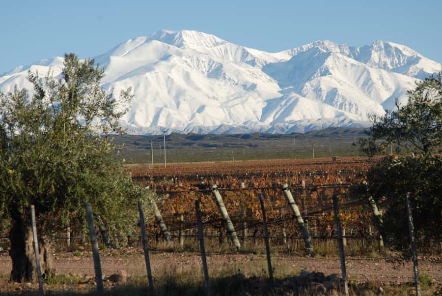 Mendoza: Full Day Wine Tour with 3 Course Lunch - Key points to know before booking