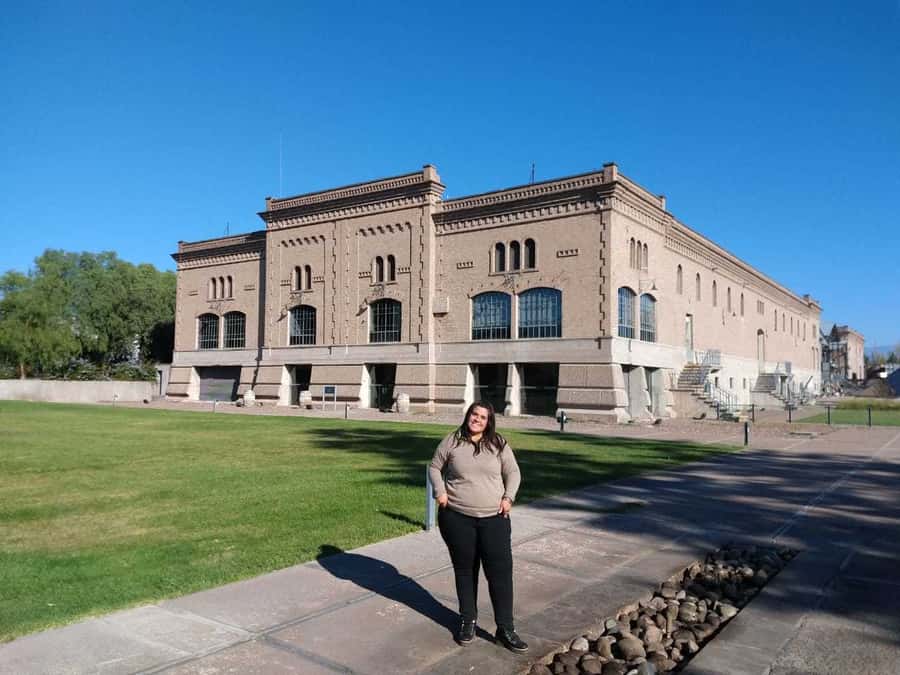 Mendoza: Full Day Wine Tour with 3 Course Lunch - Why Mendoza’s vineyards make a good full-day outing
