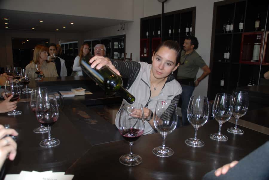 Mendoza: Full Day Wine Tour with 3 Course Lunch - Lunch among vines, with two formats