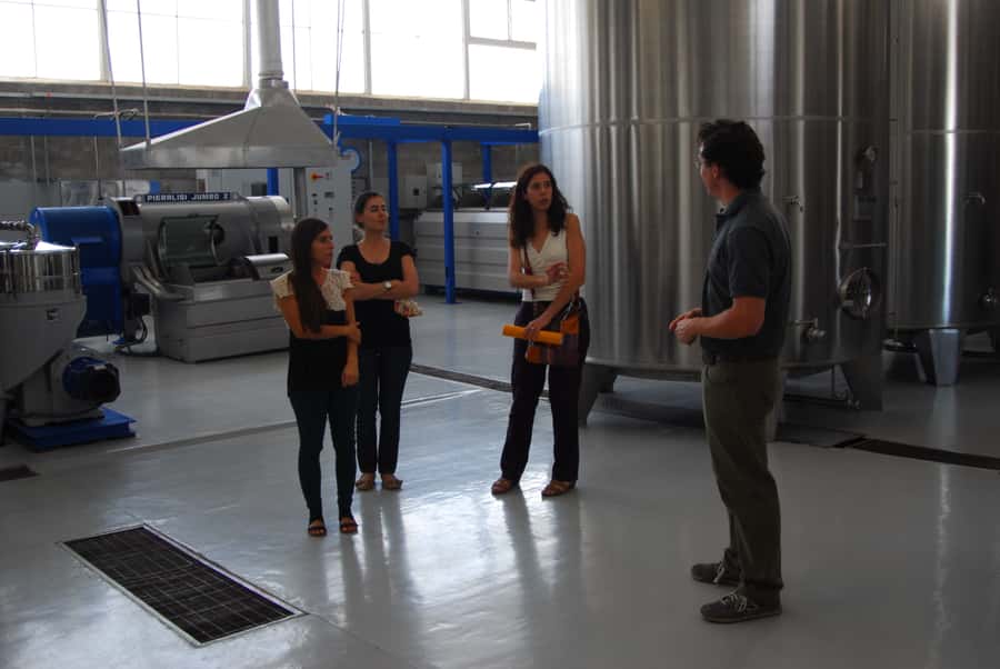 Mendoza: Full Day Wine Tour with 3 Course Lunch - What I like most about this Mendoza wine tour
