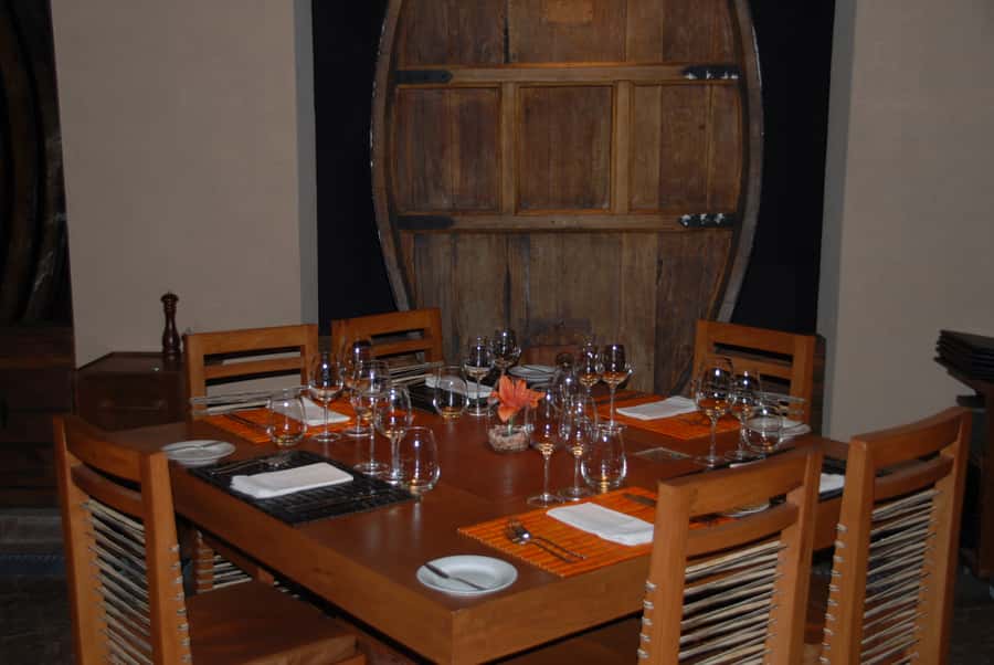 Mendoza: Full Day Wine Tour with 3 Course Lunch - What could make the day disappointing