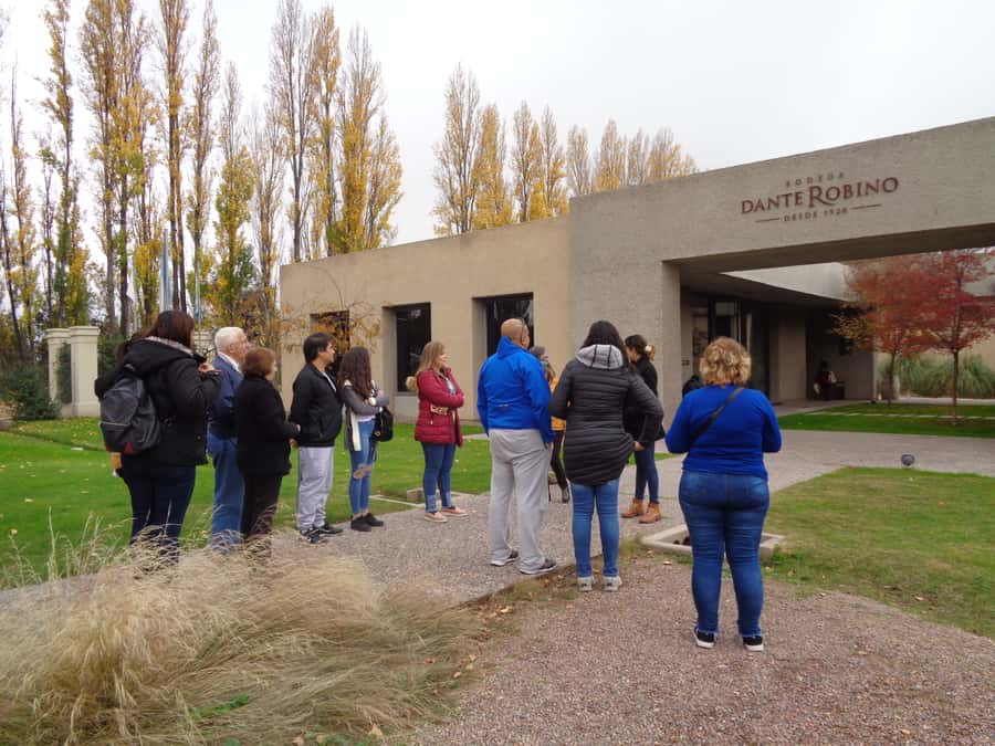 Mendoza: Half-Day Wine Tour with Tastings - Why Mendoza’s vineyards exist in a desert