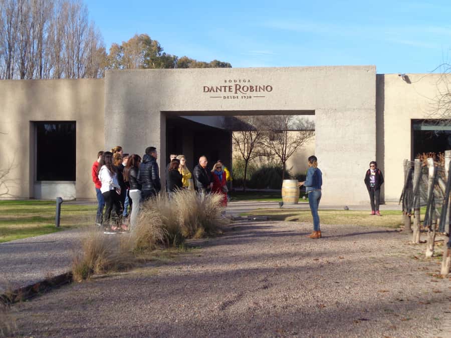 Mendoza: Half-Day Wine Tour with Tastings - The olive oil stop adds a welcome change
