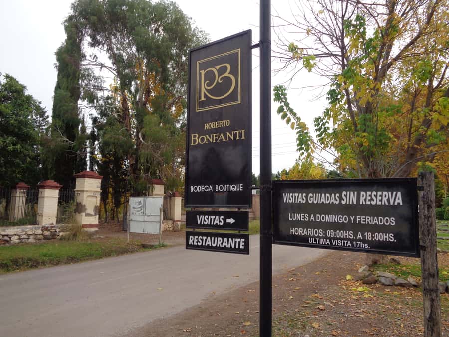 Mendoza: Half-Day Wine Tour with Tastings - Who should book this Mendoza wine tour?