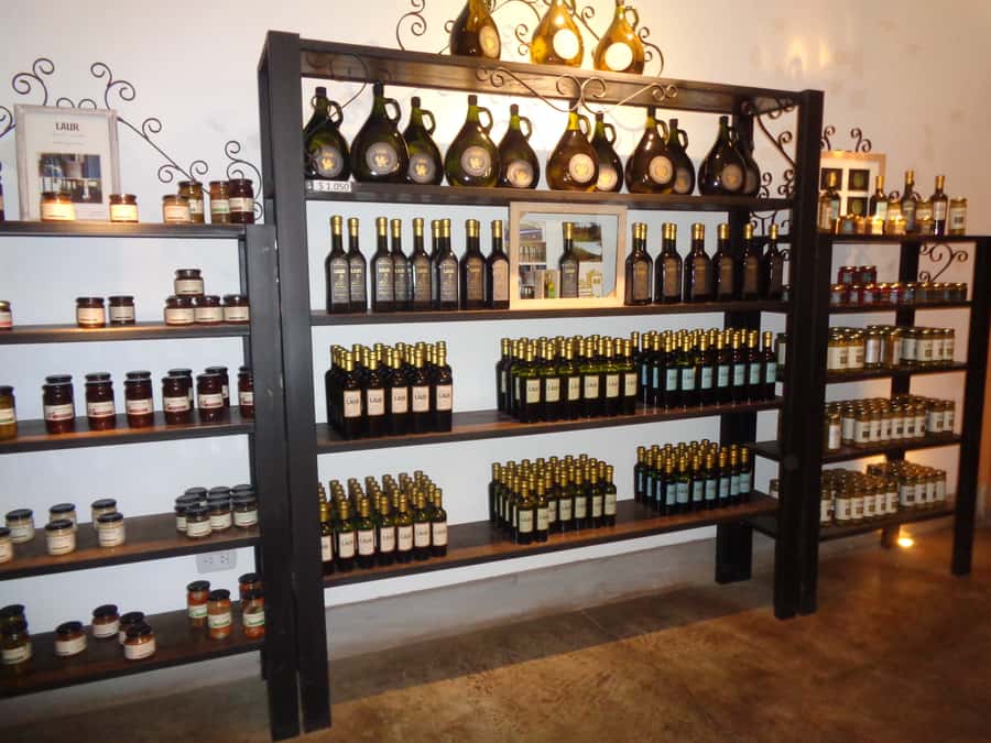 Mendoza: Half-Day Wine Tour with Tastings - The first winery: learning the route from grape to bottle