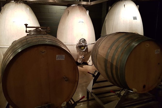 Mendoza Hop-On Hop-Off Wine Tour - Four wineries without a rental car