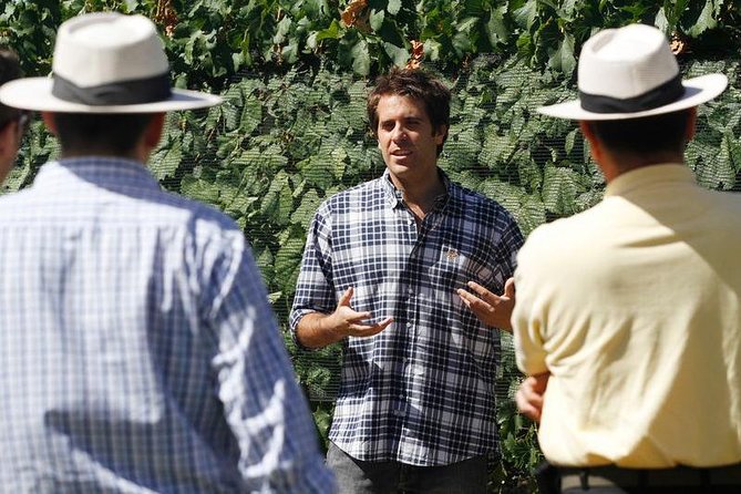 Mendoza Hop-On Hop-Off Wine Tour - Pick your wine region by weekday