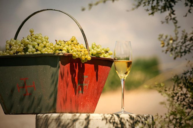 Mendoza Hop-On Hop-Off Wine Tour - What happens at the wineries