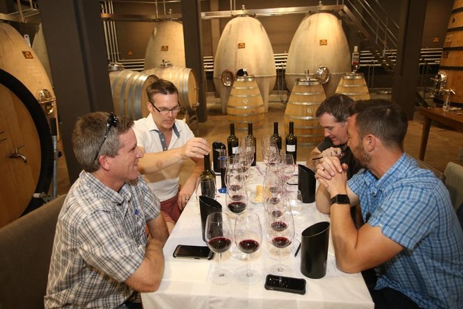 Mendoza Hop-On Hop-Off Wine Tour - The guide, the road, and the language question