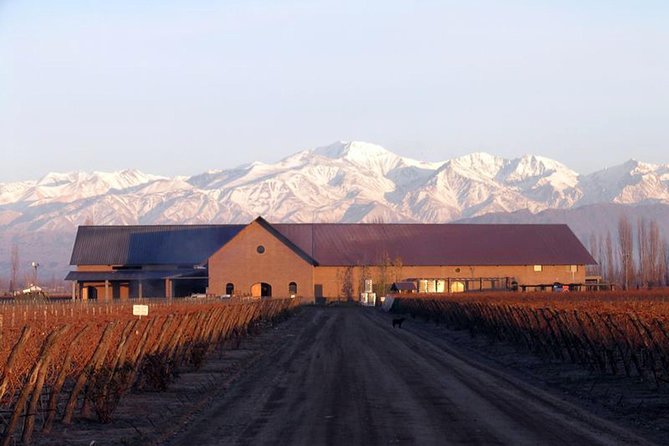 Mendoza Hop-On Hop-Off Wine Tour - Is $40 a fair price?