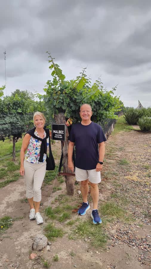 Mendoza: Top Wineries Guided Tour with Transportation - Key things to know before you book