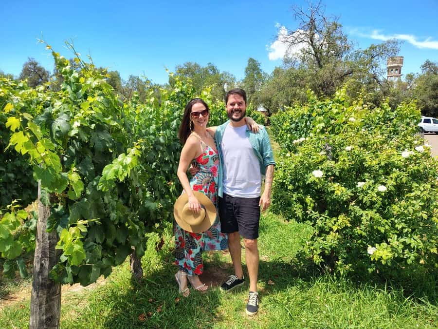 Mendoza: Top Wineries Guided Tour with Transportation - Price, extra fees, and overall value