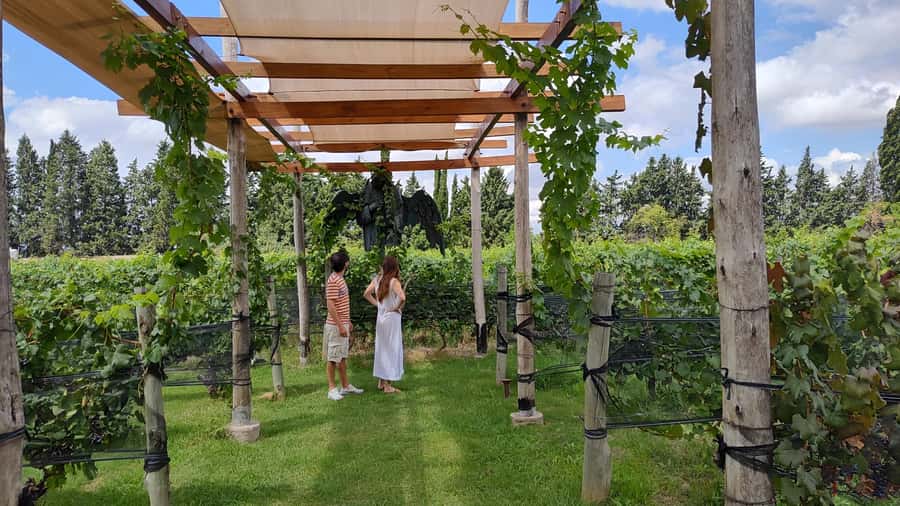 Mendoza: Top Wineries Guided Tour with Transportation - How the nine-hour schedule works